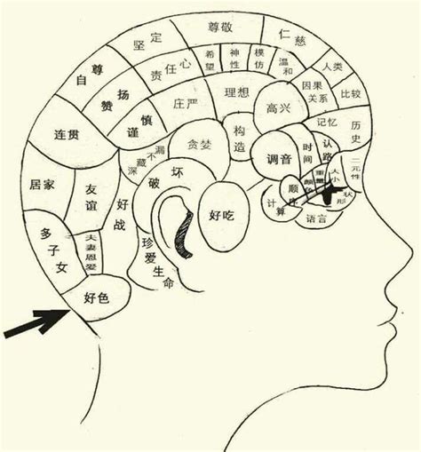 頭顱形狀|顱相學:顱相學是腦功能定位學說。19世紀初法國解剖學家加爾和。